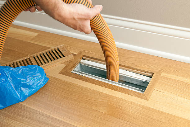 Best Affordable Duct Cleaning Services  in Caledonia, MI