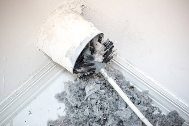 Best Home Air Vent Cleaning  in Caledonia, MI